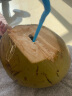 南象婆海南带皮大椰青椰子【产地直发 新鲜到家】青皮椰新鲜椰奶冻椰宝 8个 实拍图