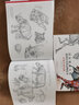 国际插画大师惠特拉奇的动物画教程套装全3册（艺用生物解剖 创造奇幻生物的法则 从现实到幻想） 实拍图