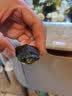萌龟饲家深水黄耳龟乌龟活物冷水长寿龟家养宠物观赏小乌龟招财吃粪龟 3-4厘米 2只情侣龟 100克龟粮 实拍图