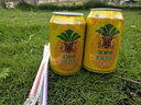 青邑菠萝果味饮料菠萝啤320ml*6罐果味饮料老汽水 菠萝啤320ml*6罐 实拍图
