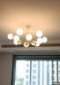 雷士（NVC）吊灯魔豆分子灯客厅北欧灯具灯饰创意现代轻奢12头吊灯 晒单实拍图