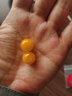 飞鹅 天然琥珀蜜蜡圆珠散珠单珠 佛头桶珠隔片金刚白玉星月菩提配饰 鸡油黄蜜蜡12MM/颗 实拍图