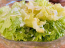 首诚高端蔬菜免洗采摘即食轻食沙拉西餐火锅鲜活首诚植物工厂采摘直发 红叶生菜（10袋） 实拍图