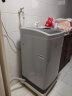 海尔（Haier) 波轮洗衣机全自动 8KG蝶形水流 魔术过滤器 健康桶自洁 租房神器EB80M20Mate1 实拍图
