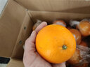 玖原农珍 赣南脐橙现摘新鲜榨汁水果橙子 年货水果礼盒 2.7斤-3斤普箱尝鲜果110-150g 实拍图
