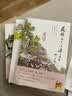 【全系列自选】叶广芩童年系列五部曲  熊猫小四+耗子大爷起晚了+花猫三丫上房了+土狗老黑闯祸了+猴子老曹 百班千人寒暑期学校推荐小学生课外阅读书籍 全3册【耗子+花猫+土狗】 实拍图