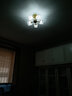 帕莎  全铜现代轻奢水晶吸顶灯卧室灯北欧简约餐厅客厅LED灯具 5头-铜本色+水晶-配齐光源 实拍图