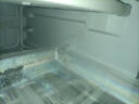 新飞（Frestec）185升冰箱双开门小型家用租房宿舍办公室小冰箱迷你大容量简约两门冰箱 BCD-185KT 实拍图