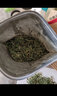 禾尚熙2025新茶安徽二级雨前春茶 霍山黄茶黄芽 浓香型茶叶250g袋装 实拍图