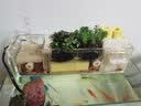 活性炭过滤棉水族箱鱼缸生化棉过滤材料高密度净水海绵 白棉50*50*3厘米【单张】 实拍图