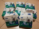 宠百思（PETBEST）公狗尿裤 狗狗纸尿裤狗狗尿不湿穿戴式狗尿垫狗尿布隔尿垫 公狗尿裤 S-小型 实拍图