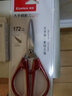 齐心(Comix)剪刀/剪子 大手柄172mm B2711 实拍图
