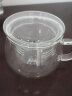 物生物/RELEA 玻璃杯 茶水分离杯 双层耐热泡茶杯子 带过滤玻璃水杯 玲珑杯320ML 实拍图