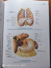 人体解剖彩色图谱第三版 3版全彩人卫奈特系统解剖学人体肌肉骨骼结构书3d尸检解刨学法医学类书籍教材人民卫生出版社 实拍图