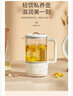 OIDIRE 养生壶 煮茶器煮茶壶烧水壶电水壶热水壶玻璃煮茶壶烧水壶恒温保温办公室迷你养生杯 0.6L -YSH33养生壶【钛发热盘】 实拍图