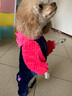 派可为（TOM CAT）狗狗衣服小狗博美比熊泰迪犬中小型犬四脚衣宠物猫咪秋冬装情侣服 粉色mama 冬款 单件 L 实拍图