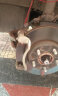 菲罗多（ferodo）刹车片陶瓷后片适用现代伊兰特-悦动伊兰特朗动1.6 1.8 FDB4241-D 实拍图