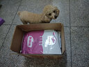 宠维滋狗粮幼犬1.5kg3斤天然粮泰迪比熊中小型犬通用型 实拍图