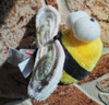 贵为（GiGwi）发声猫玩具小猫幼猫自嗨解闷逗磨牙耐咬猫咪玩具逗猫棒蜜蜂 实拍图