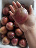 纯香果 广西百香果 新鲜水果 生鲜优选 净重 9斤【大果】单果50-100g 实拍图
