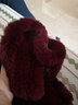 幕加格 獭兔毛帽子女冬天毛线帽皮草中老年人奶奶妈妈老太太帽子围巾t2586 酒红色 帽子+围巾 实拍图
