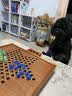 御圣 跳棋玻璃珠跳跳棋木质跳棋盘早教启蒙亲子益智游戏桌游儿童礼物 正方型跳棋盘+【玻璃珠棋子】 实拍图