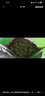 聯萬春（LIANWANCHUN）送茶具多规格绿茶2025新茶春茶碧螺春日照高山云雾茶叶散装罐装 袋装没赠品 250g * 1件 实拍图