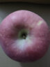 京鲜生 洛川苹果 陕西红富士苹果5斤大果 单果260g+ 生鲜 源头直发 晒单实拍图