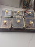康丰（KANGFENG） 玻璃水果盘家用客厅果盘茶几干果盘干果盒高档托盘干果收纳盒 实木托盘+描金边果盘6个【带盖】 实拍图
