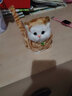 亦趣仿真猫玩偶会叫小猫咪毛绒玩具摆件可爱猫咪公仔儿童生日新年礼物 橘花会叫猫咪+领结 实拍图
