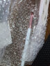 茗希芝（MINSHZEE） 三色高光修容盘一体盘鼻影阴影修容粉自然立体卧蚕提亮三合一 01#巧克力拿铁 实拍图