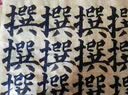善琏湖笔 兼毫毛笔礼盒套装中楷书学生儿童初学者书法软笔国画毛笔笔练习文房四宝 三省兼毫套装 实拍图
