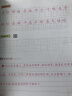 练字帖小学生（人教版配套）儿童钢笔生字词字帖 小学语文一二三四五六年级上册写字课课练1-6年级上语文默写随堂练字基础知识硬笔字帖小脚鸭 生字练字帖（五年级上） 实拍图