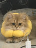 喔喔（WOWO）猫条猫咪零食 成猫幼猫通用猫湿粮 5种口味12g*50条 晒单实拍图