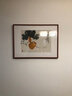 橙舍 新中式餐厅装饰客厅挂画福禄茶室壁画水墨画国画 唐华 福寿绵长 大福禄-雅致黑胡桃 装裱65*85 实拍图