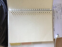 文谷（Wengu）a5替芯活页内页记录本网格活页日记通用方格内芯20孔50张A550-2 实拍图