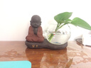 宇轩水培玻璃花瓶插花透明器皿养绿萝禅意摆件水养植物创意小花盆 精进花器+努力底 实拍图