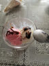 麦伦（Myron）冰淇淋粉软硬冰激凌粉冰淇淋商用粉甜筒圣代原料粉雪糕粉家用自制 草莓味冰淇淋 实拍图
