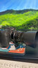 中一（zhongyi） 中一光学 85mm F2.0全画幅人像手动对焦镜头EF\AI\FE\FX 佳能口-黑色 标配 实拍图