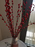 开时果 银柳鲜枝干花年宵花卉 红色真花福桶银柳水培植物室内装饰鲜花 【60cm】银柳20枝（喜庆红） 实拍图