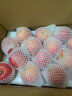 佳农 烟台特级红富士苹果 礼盒 15个装  苹果礼盒 单果重约230g 生鲜水果 年货节礼盒 实拍图