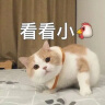 格沃斯【甘蔗批发】生鲜水果正宗广西黑皮甘蔗新鲜超甜整根甜杆现砍中段 带箱9-10斤【优选】工具 实拍图