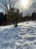 铭匠APO 35mm F2全画幅镜头大光圈人像人文街拍定焦适用徕卡M11 M10  M9 M240 M6胶片相机福伦达VM旁轴 黑色 徕卡M口 实拍图