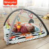 费雪（Fisher-Price）婴儿玩具0-3岁新生儿生日礼物- 3合1趣味萌宠乐园健身器HBP41 实拍图