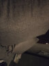 南极人加厚亚麻纯色抱枕简约客厅沙发靠垫套汽车办公室腰枕床头大靠枕腰垫 气质灰(加厚素色亚麻) 50X50cm抱枕套（含芯） 实拍图