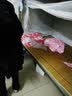淳咪娜 高端原创整貂皮大衣女新品海宁皮草女水貂皮连帽貂皮皮毛一体 高端黑（整貂） XL - 建议109-117斤 实拍图