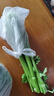 绿食者 新鲜西芹1000g 大芹菜 洋芹菜 健康轻食蔬菜 实拍图
