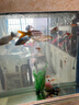 欧宝 鱼缸玻璃生态水族箱子弹头家用客厅屏风金鱼缸大型可定制 弧门款 底滤 1.38米长 实拍图