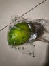 辰实【现货】 新鲜青柠檬 无籽青柠檬 绿皮小青柠薄皮香水柠檬 3斤新鲜青柠檬 实拍图