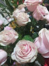 钟爱（love）云南昆明鲜花基地直发玫瑰家庭插花花束直批鲜花 粉玫瑰20枝 实拍图